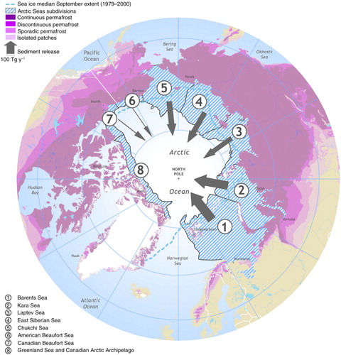 Fig. 4  Modern sediment contribution (Tg y−1) from coastal erosion into the Arctic Ocean divided by marginal sea areas (after Brown et al. Citation2002).