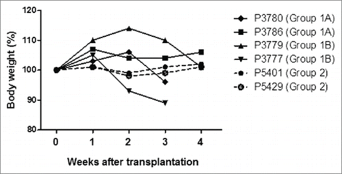 Figure 4. Body weight changes in each recipient pig. The weights of all recipient pigs remained stable after transplantation, except Pig 3777, which lost weight and underwent euthanasia on day 23 due to pulmonary infection.