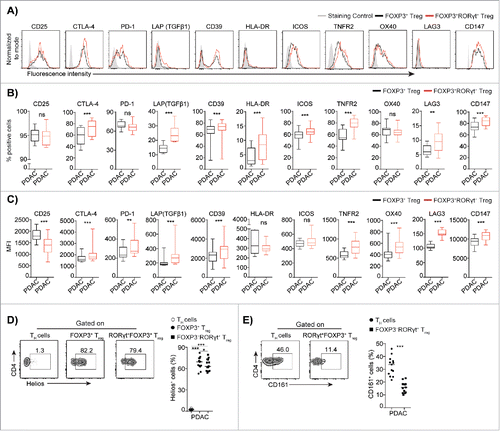 Figure 2. Phenotypic characteristics of FOXP3+RORγt+Treg from PDAC patients. Phenotypic analysis of PBMCs from PDAC shows the expression level of indicated markers on FOXP3+RORγt+ Treg compared to FOXP3+Treg. (A) A representative flow cytometry histogram from one donor is shown. The Box plots shows, (B) compiled frequencies and (C) expression level of indicated markers. (D) A representative flow cytometry dot plots and compiled frequencies of Helios+TH, FOXP3+Treg and FOXP3+RORγt+Treg from PDAC PBMCs. (E) A representative flow cytometry dot plots and compiled frequencies of CD161+TH, FOXP3+Treg, and FOXP3+RORγt+Treg from PDAC PBMCs. HD (n = 11) and PDAC (n = 13). Horizontal bar represents median, each dot represents one patient. ns = non-significant, *p ≤ 0.05, **p ≤ 0.01, ***p ≤ 0.001.