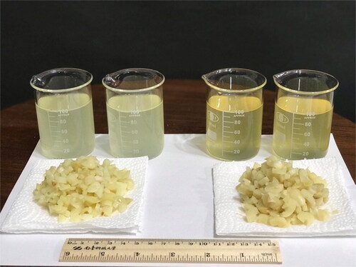 Figure 12. Filtered garlic fermentation solution and remaining garlic cloves (left: unenriched garlic, right: enriched garlic.