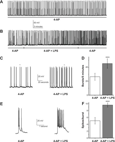 Figure 2 Lipopolysaccharide (LPS) facilitated epileptiform discharges.