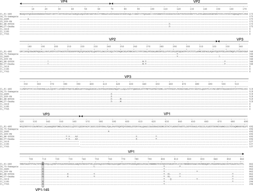 Fig. 2 Amino acid sequence comparison of the EV71 strain capsid regions included in the current study.Residue 145 of the VP1 capsid region is marked by a box