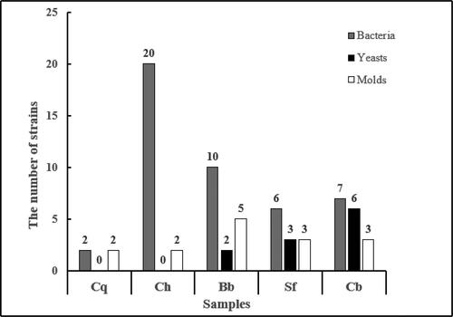 Figure 1. The microbial strains from different fermentation stages of traditional BBSC.