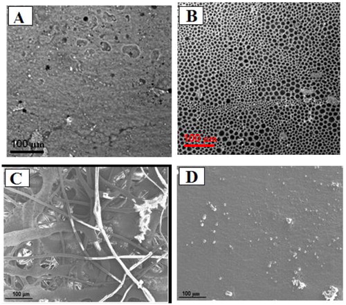 Figure 1. Effect of solution concentration on structure formation (a) 0.10 g/ml, 45° and (b) 0.12 g/ml, 45°(c) 0.13 g/ml, 45° (d) 0.14 g/ml, 45°.