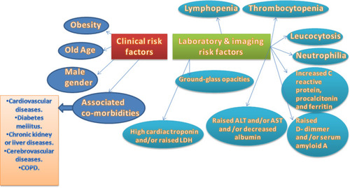 Figure 1 Risk factors of critical illness and mortality predictors in COVID-19.