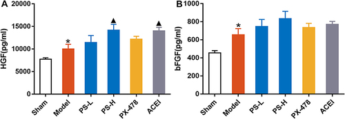 Figure 6 PS increased the expression level of HGF and bFGF in rats following an AMI. (A) The HGF level in serum, (B) The bFGF level in serum. Data were expressed as the mean ± SEM, n=8. *P < 0.05, vs sham group; ▲P < 0.05, vs model group.