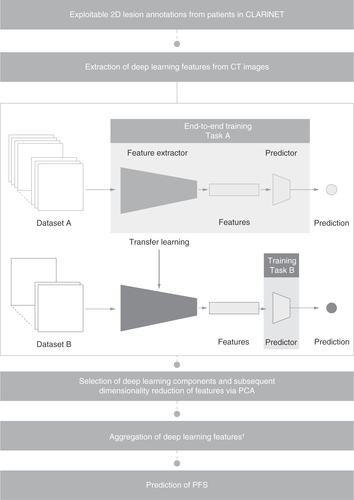 Figure 2. The prediction of PFS by deep learning models through the extraction of lesion features via transfer learning.In the case of limited data availability for training a model (task B on dataset B), it is possible to use features learned for a different task (task A) on a larger dataset (dataset A). It is assumed that the features learned on task A can be applied to task B. The RAISE project trained deep learning algorithms on ImageNet data (dataset A) and then used them to extract features from CT scan images. †Deep learning features were aggregated using average pooling.CT: Computerized tomography; NET: Neuroendocrine tumor; PCA: Principal component analysis; PFS: Progression-free survival.