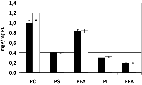 Figure 1. Content of phospholipids (PL) in erythrocytes in normoxia (■) and in 30-min hypoxia (□). Note: * Statistical significance of differences relative to the control group (р < 0.05).