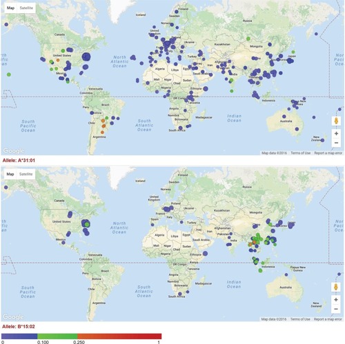Figure 1 Allele frequency distribution for HLA-A*31:01 and HLA-B*15:02.