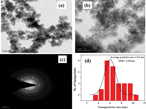 Figure 5. (a,b) Representative TEM images of L-Ser capped Fe3O4 NPs, (c) selected area electron diffraction patterns and (d) size distribution histogram.