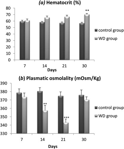 Figure 2. Evolution of Hematocrit (a) and plasmatic osmolality (b) in the controls and water-deprived Meriones (WD) measured at days 7, 14, 21 and 30. Data are expressed as means ± S.E.M. (*) p < .05.
