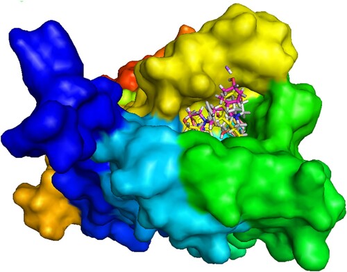 Figure 9. Docked conformation of all structure at inhibitor binding site of prepared protein chain, 5DSG.