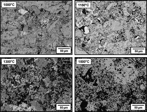 Figure 16. Micrographs of samples containing MgO <45 μm after firing at different temperatures (1000, 1150, 1300, and 1500°C) for 5 h [Citation52].