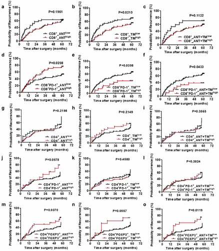 Figure 3. TTR curves from ANT and TM in HCC