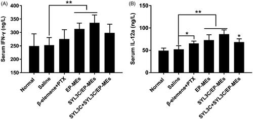 Figure 7. Serum level of (A) IFN-γ and (B) IL-12a of mice after 24 h of the last treatments. n = 4, *p < .05, **p < .01.