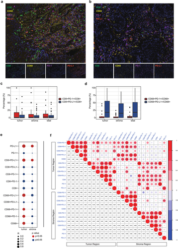 Figure 5. Association between tumor-infiltrating lymphocytes (TILs) and PD-L1 expression. (a) Representative mIHC staining figures of the group with high PD-L1 expression. (b) Representative mIHC staining figures of the group with low PD-L1 expression. (c) the ratio of PD-L1+ or PD-1+ CD8+ T cells to CD8+ T cells. (d) the ratio of PD-L1+ or PD-1+ CD68+ macrophage to CD68+ macrophage. (e) correlation between CPS and TILs in the tumoral and stromal region. (f) correlation matrix between TILs in tumor and stroma region. (***, p < .001; **, p < .01; *, p < .05).