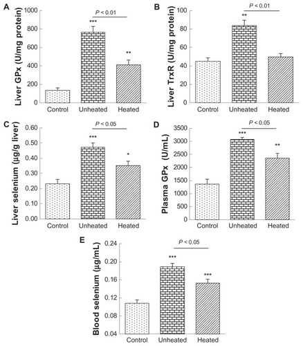 Figure 2 Heat treatment reduces bioavailability of 80 nm selenium nanoparticles at a nutritional level. Selenium-deficient mice were orally administered with saline as a control, or 80 nm selenium nanoparticles, either unheated or heated, at a selenium dose of 100 μg/kg for 7 days.Notes Compared with the controls, *P < 0.05; **P < 0.01; ***P < 0.001.Abbreviations: GPx, glutathione peroxidase; TxR, thioredoxin reductase.