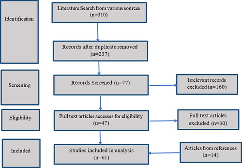 Figure 1. Steps for screening and filtering articles for final inclusion in the review study following the PRISMA model.
