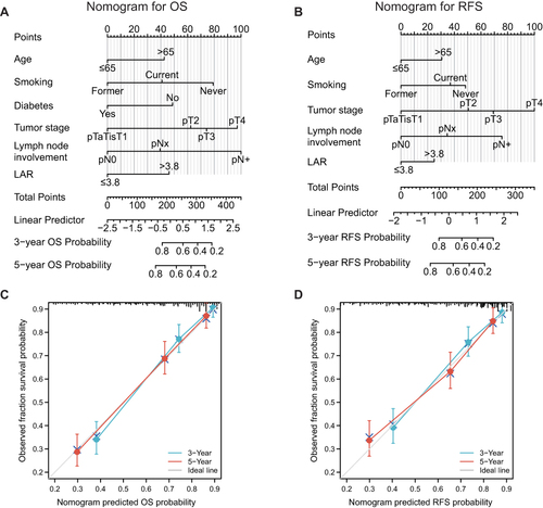 Figure 2 Nomograms and calibration curves for the prediction of 3- and 5-year OS and RFS. (A and B), Nomograms for 3- and 5-year OS (A) and RFS (B) prediction. (C and D), Calibration curves for estimating the prediction of 3- and 5-year OS (C) and RFS (D) between the prediction and the actual observation.