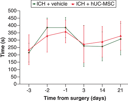 Figure 3. Motor function assessment.Animals were treated with (ICH + hUC-MSC) or with the vehicle (ICH + vehicle) 1 h after the induction of ICH. The graph shows the latencies to fall in the rotarod test at different time points from surgery. Mixed-effects analysis and Sidák’s post-hoc test were used. Data shown in the graph are means ± SD; n = 12-13 animals in the ICH + vehicle group, n = 14 animals in the ICH + hUC-MSC group.hUC-MSC: Human umbilical cord-derived mesenchymal stromal cells; ICH: Intracerebral hemorrhage; SD: Standard deviation.