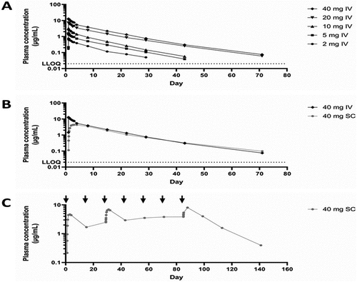 Figure 4. Pharmacokinetic profile of izokibep. Mean plasma concentration-time profiles of izokibep following (A) single IV doses in healthy subjects, (B) single SC or IV 40 mg dose in healthy subjects, and (C) repeated 40-mg SC administration in patients, with dosing once every other week on seven occasions (arrows). LLOQ: <0.020 µg/mL. IV, intravenous; LLOQ, lower limit of quantification; SC, subcutaneous.