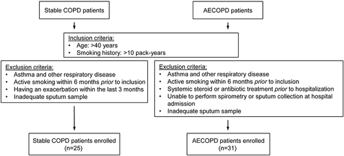 Figure 1 Flow chart showing the study profile. COPD, chronic obstructive pulmonary disease; AECOPD, acute exacerbation of chronic obstructive pulmonary disease.