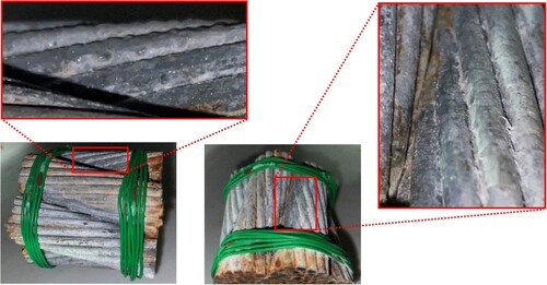 Fig. 9: Investigation results of dew condensation on the surface of the rope specimen