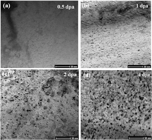 Figure 7. TEM micrograph of Hastelloy-N alloy irradiated by different Xe ion doses with a low dose rate. (a) Magnified image of region A of Figure 4(b).