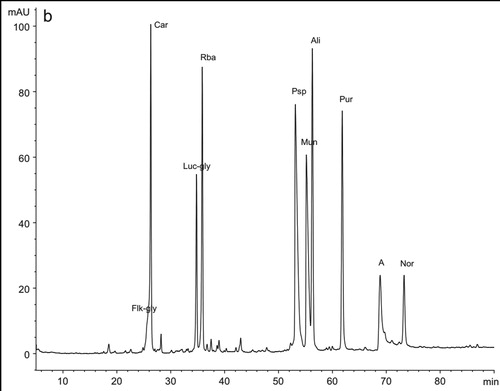 Figure 4. Chromatograms of a red wool sample from 15th century tapestry identified using Pursuit XRs DP column with UV detection at wavelength of λ = 254 nm. Peak “A” is an impurity of formic acid used in mobile phase.[Citation14]