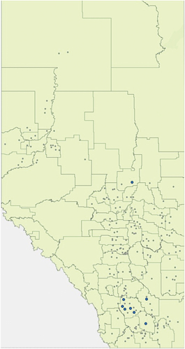 Fig. 2 Wheat disease survey locations (small grey dots), and locations where BLS was confirmed (large blue dots) in Alberta, 2023.