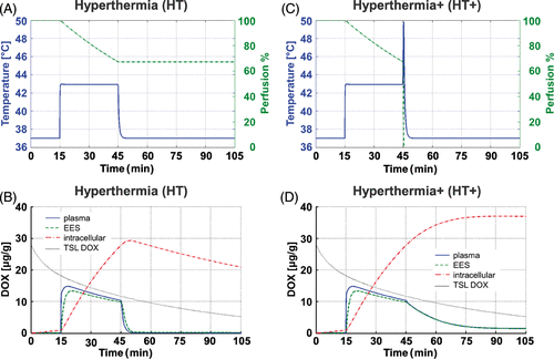Figure 3. (A) Temperature and perfusion time course for HT case, and (B) corresponding concentrations of TSL-DOX, and bioavailable DOX in plasma, EES and cells. (C) Temperature and perfusion time course for the HT+ case, and (D) corresponding DOX concentrations in tumour compartments. All data are shown at the location of highest temperature (white arrow in Figure 2A).