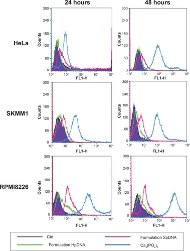 Figure 5 Evaluation of transfection efficacy of nanoplexes by fluorescence-activated cell sorting. Different cell lines were treated with formulations HpDNA or SpDNA for 6 hours, washed, and incubated with fresh medium for 24 and 48 hours.Abbreviations: pDNA, plasmid DNA; Ctrl, control.