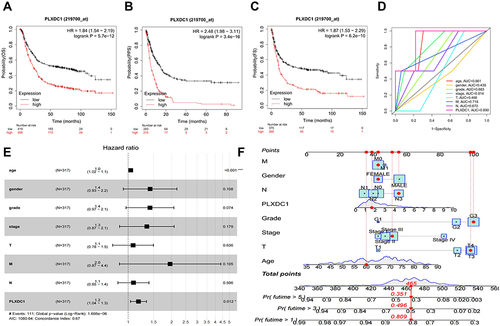 Figure 2 Prognostic analysis of PLXDC1 in gastric cancer. (A) OS, (B) FP and (C) PPS analysis of PLXDC1 in gastric cancer in the Kaplan-Meier Plotter database. (D) The accuracy of PLXDC1 expression and clinicopathological parameters in univariate Cox analysis for the prediction of gastric cancer prognosis as assessed by using ROC curves. (E) Multivariate Cox survival analysis of PLXDC1 expression and clinicopathological parameters. (F) PLXDC1 integrates clinicopathological parameters to build a nomogram survival prediction system to predict 1-, 3 -and 5-year patient survival. In the nomogram survival prediction system, each clinicopathological parameter of the patient corresponds to a score, and all scores are summed to obtain an overall score for the patient, which predicts the 1-, 3-, and 5-year survival rates for the patient. *P value < 0.05; ***P value < 0.001.