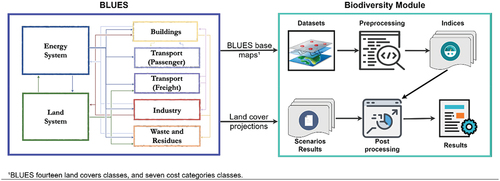 Figure 4. Methodological procedure to integrate biodiversity in the BLUES model. First, data is gathered and processed creating biodiversity indicators for BLUES land cover categories. The scenarios are used to project the biodiversity change based on land cover change. This assessment allows the investigation of possible trends in biodiversity.