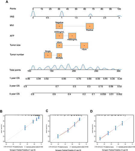 Figure 4 Model 1 for predicting OS of HCC patients after hepatectomy. (A) Nomogram of the model. (B–D) Calibration curves for OS at (B) 1 year, (C) 3 years and (D) 5 years. The light gray line indicates the ideal, where predictions match observations. The red dots were calculated by bootstrapping (1000 resamplings) and describe the performance of the nomogram: the closer the solid red line is to the light gray line, the more accurately the model predicts survival.