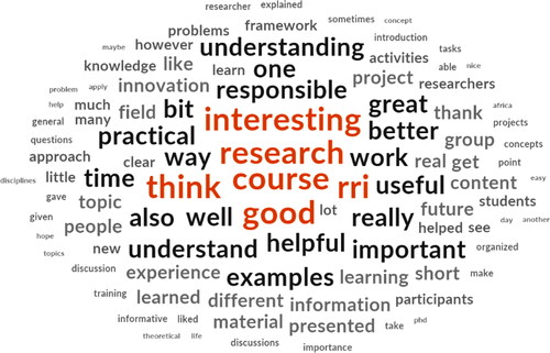 Frequency of words used in participants’ comments generated by NVivo 12 Plus for Windows.