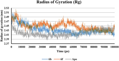 Figure 16. Rg plot of Apo (Grey), 6b (Blue), and 6f (red).