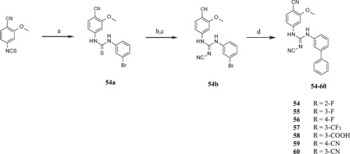Scheme 6. Syntheses of compounds 54–60. Reagents and conditions: (a) 3-Bromoaniline, DCM, RT; (b) MeI, K2CO3, RT; (c) NaNHCN, 2-propanol, reflux; (d) substituted arylboronic acid, Cs2CO3, SPhos, Pd(OAc)2/EtOAc:toluene (1:1), 100 °C.