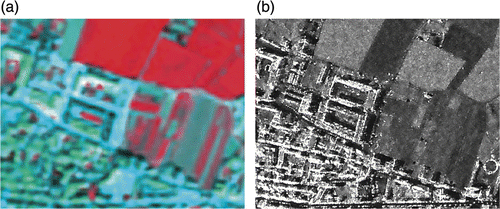 Figure 3. Original multispectral SPOT 5 2005 (© CNES 2005) image (a) in the band combination 3 (near infrared), 2 (red), 1 (green) resampled to 1m and the original panchromatic TerraSAR-X image and (b) recorded on 3 May 2008(©DLR 2008). Note the differences in the field structure for the agricultural areas in the upper right part.