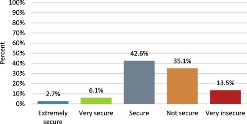 Figure 2. How secure do you feel in your job? Source: Author Survey.