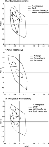 Figure 8  Effect on the shell-shape of Placostylus ambagiosus and P. hongi of laboratory rearing and transfer to a different habitat type as shown with non-metric multidimensional scaling. Convex bounding polygons and centroids are shown for both reared and translocated snails and their parent populations. Outer convex polygons show variation for the species as given in Fig. 5.