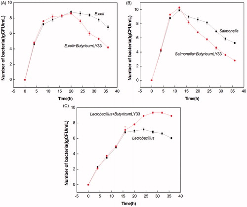 Figure 7. Co-culture of strain LY33, E.coli, Salmonella and Lactobacillus. (A) As the extension of time, the number of LY33 co-cultured Escherichia coli decreased gradually in comparison to the single cultured Escherichia coli. After 20h, the number of co-cultured Escherichia coli was significantly lower than that of single cultured. (B) As the extension of time, the number of LY33 co-cultured Salmonella decreased gradually in comparison to the single cultured Salmonella. After 12h, the number of co-cultured Salmonella was significantly lower than that of single cultured. (C) As the extension of time, the number of LY33 co-cultured Lactobacillus increased gradually in comparison to the single cultured Lactobacillus. After 20h, the number of co-cultured Lactobacillus was significantly higher than that of single cultured. CFU: Colony-Forming Units.