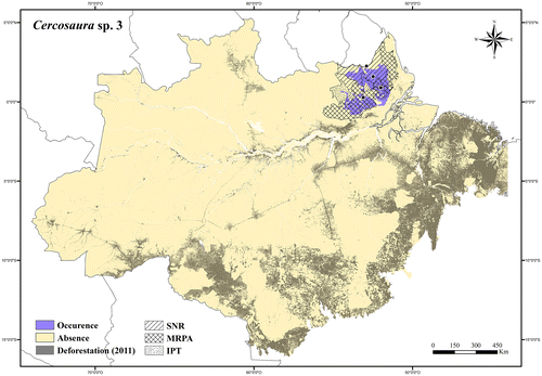 Figure 40. Occurrence area and records of Cercosaura sp. 3, showing the overlap with protected and deforested areas.
