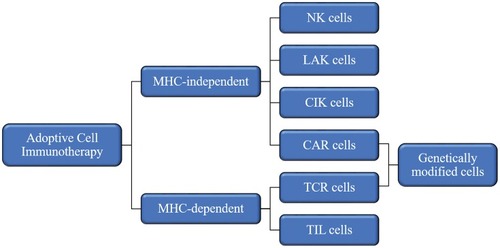 Figure 2 Effector cells for adoptive cell immunotherapy.Abbreviations: MHC, major histocompatibility complex; NK, natural killer; LAK, lymphokine-activated killer; CIK, cytokine-induced killer; CAR, chimeric-antigen receptors; TCR, T cell receptors; TIL, tumor-infiltrating lymphocytes.