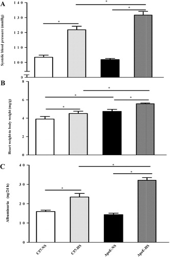 Figure 1 Bar graphs showing the effects of high sodium diet on systolic blood pressure measured by non‐invasive tail‐cuff method (A), heart weight‐to‐body weight ratio (B) and albuminuria (C) in ApoE−/− and in C57Bl/6 mice at the end of the 12‐week‐treatment period. NS denotes normal‐salt and HS high‐salt diets. Means±SEM are given (n = 6 in each group). *p<0.05.
