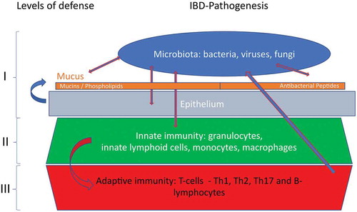 Figure 1. The different levels of mucosal defense against invasion of the microbiota. This expert review will focus on level I.