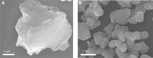 Figure 2 A typical scanning electron microscope (SEM) image of (A) dried graphene oxide (GO) and (B) dried cystamine-conjugated GO.Note: SEM image showed conjugation of cystamine with GO which is confirmed by the reduction of the size of cystamine-conjugated GO.