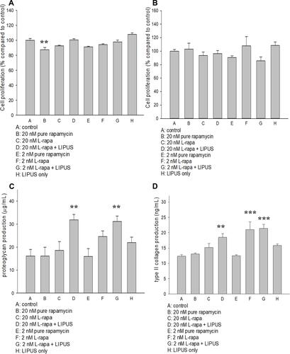 Figure 2 (A) Pure rapamycin at 20 nM decreased human normal chondrocyte proliferation by about 15% while (B) pure rapamycin and L-rapa with or without LIPUS did not cause significant effects on HOAC proliferation. (C) L-rapa at 20 nM and 2 nM in collaboration with LIPUS approximately doubled proteoglycan production in human normal chondrocytes cultured in alginate beads. (D) L-rapa at 2 nM alone and in combination with LIPUS increased type II collagen production by around 1.7-folds in human normal chondrocytes cultured in alginate beads (PG: proteoglycan; **P<0.01; ***P<0.001; by one-way ANOVA, N=5).