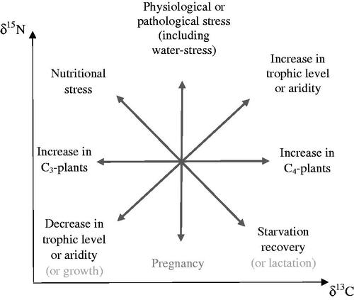 Figure 8. Projected δ15N and δ13C shifts linked with dietary, physiological or environmental events.