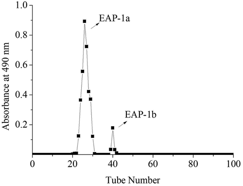 Figure 2. The elution curve of EAP-1 on G-100 column.Figura 2. Curva de elución del EAP-1 en la columna G-100.